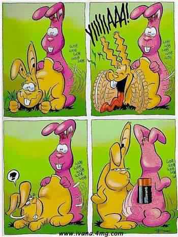 Pan Pan le lapin